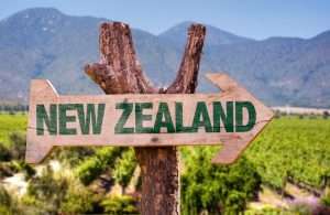 Startup Sanctuary: Launching Your Business in New Zealand’s Thriving Market