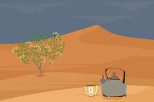 Saudi Arabia’s Historic Forts and Castles: A Walk Through History