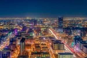 The Best Wildlife Viewing Spots in Saudi Arabia: From Falcons to Camels