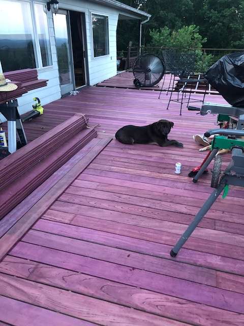 Medford Ipe Decking: The Gold Standard for Strength and Beauty